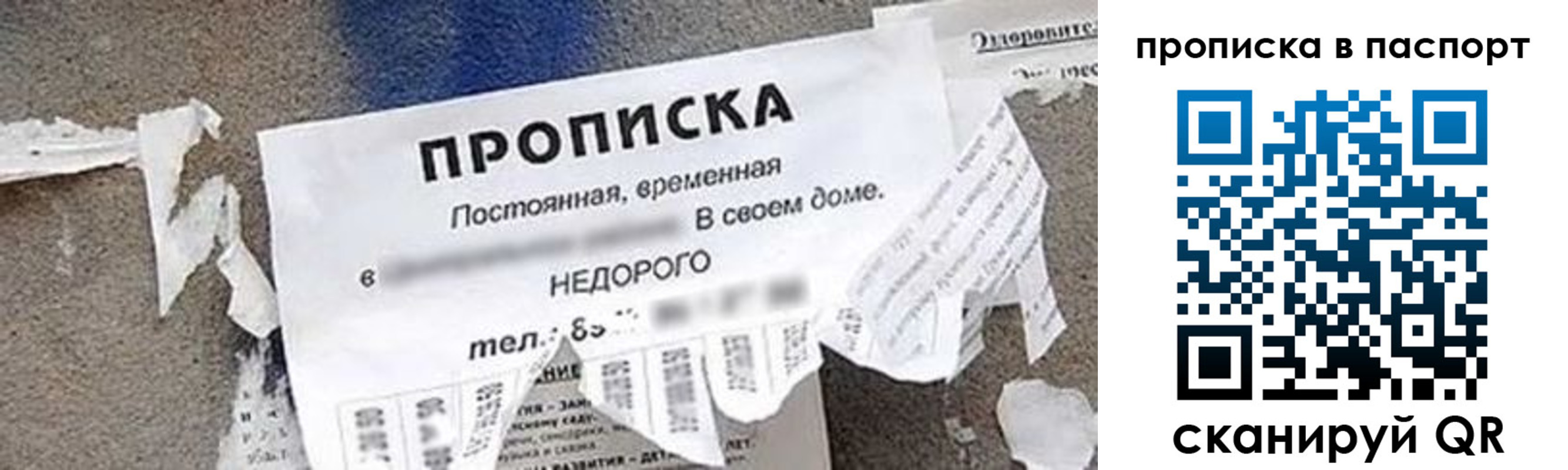 где прописаться в Жердевке